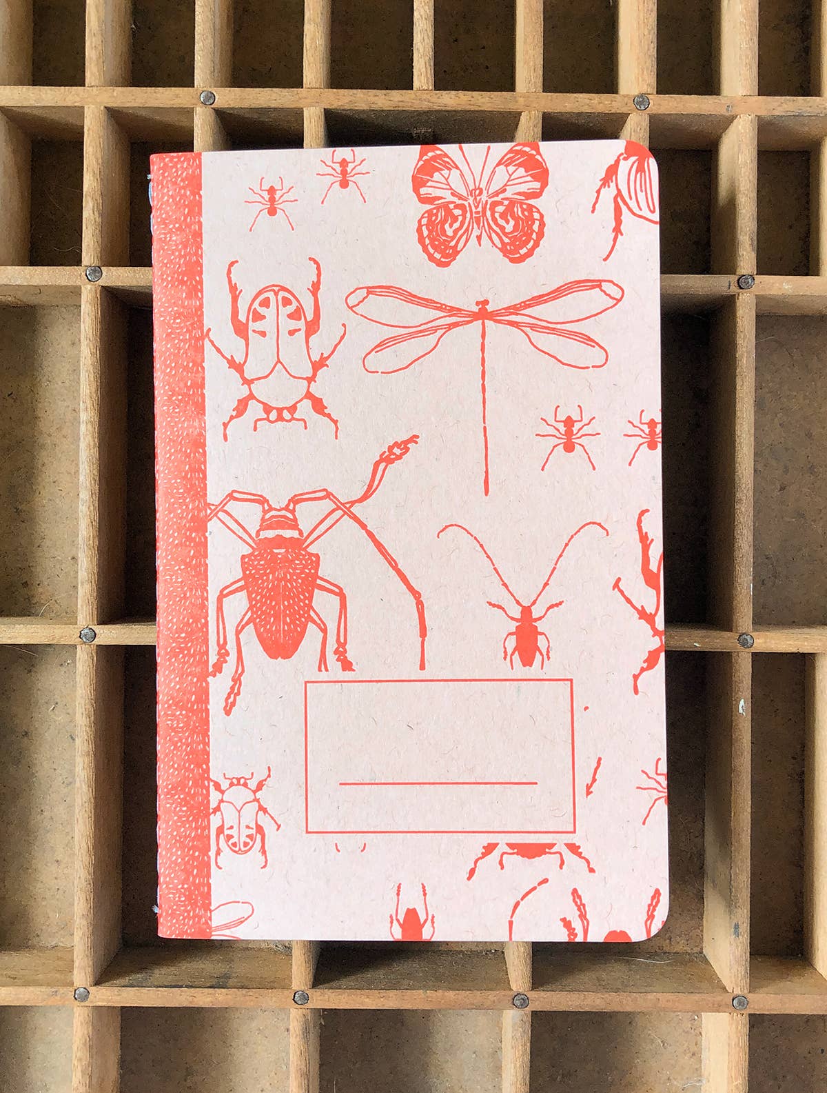 Insects notebook