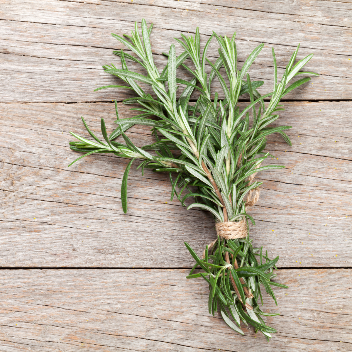 Mediterranean Herbs