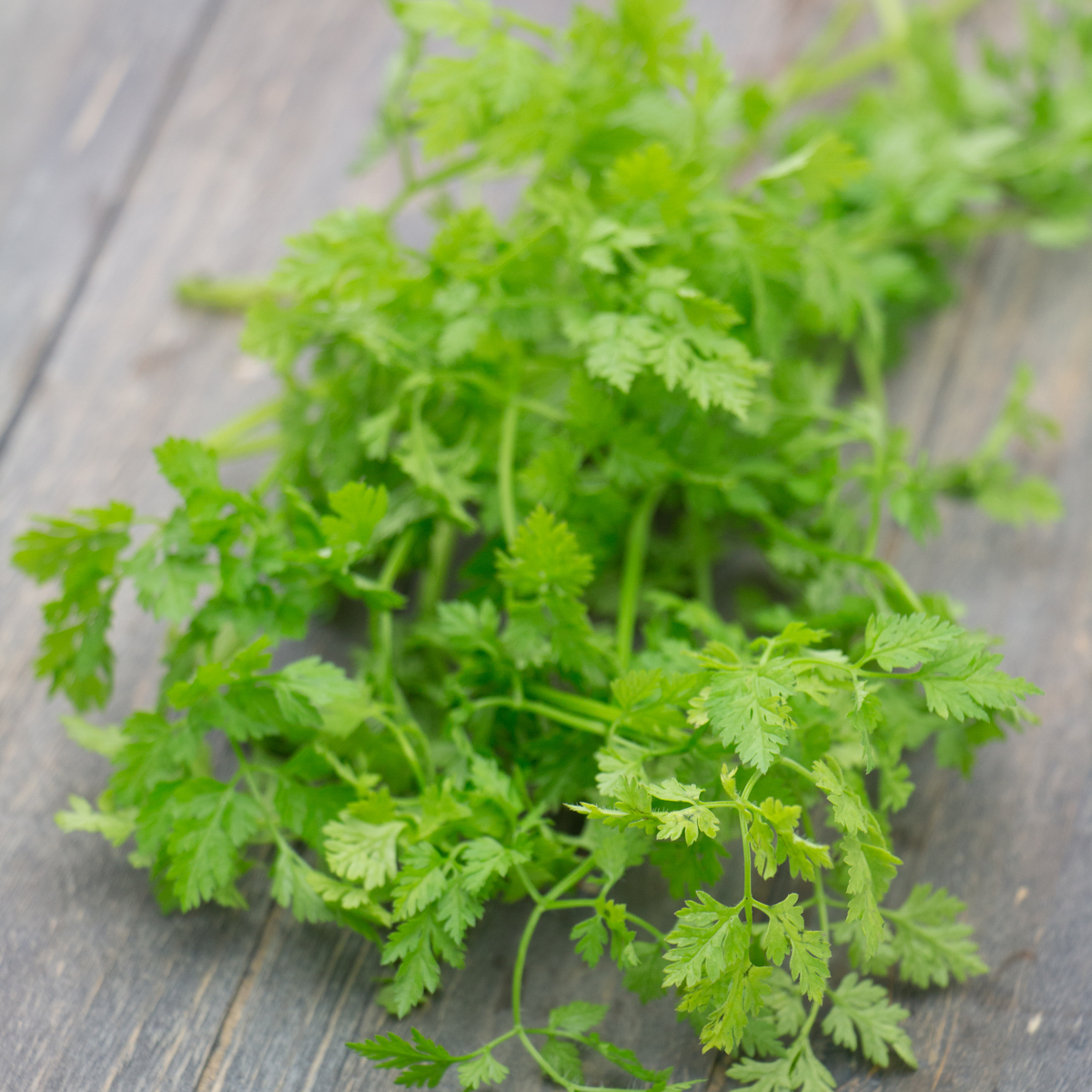 Kitchen Herbs