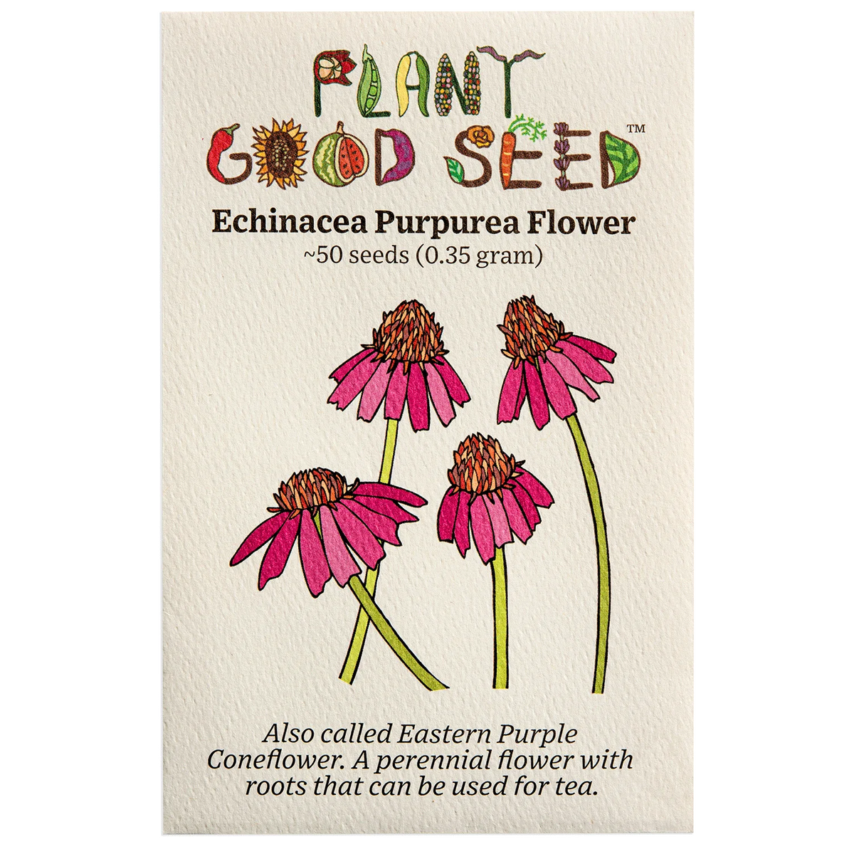 Echinacea Purpurea / Eastern Coneflower - Plant Good Seed