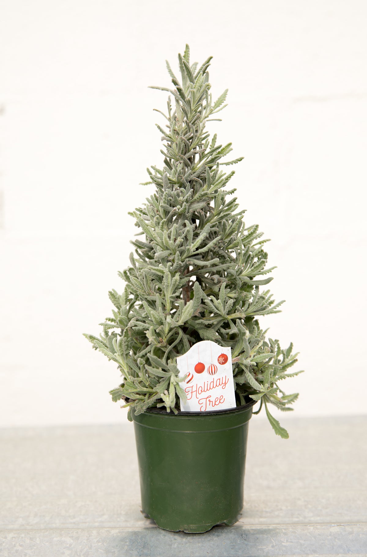 Lavender Holiday Tree