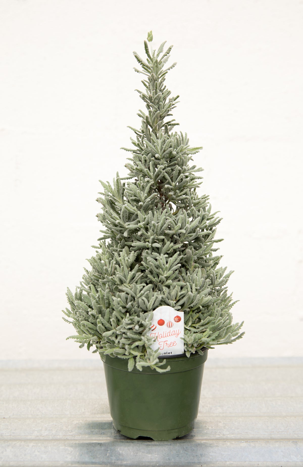 Lavender Holiday Tree