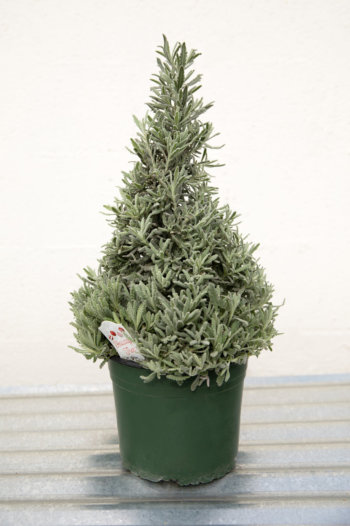 Lavender Holiday Tree