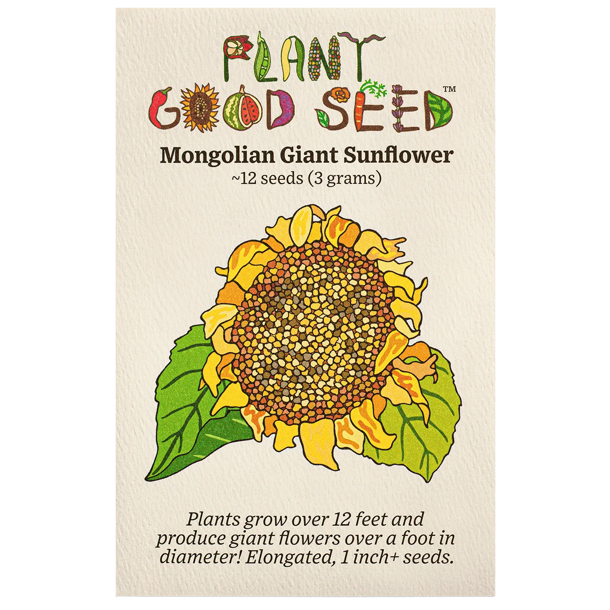 Mongolian Giant Sunflower - Plant Good Seed