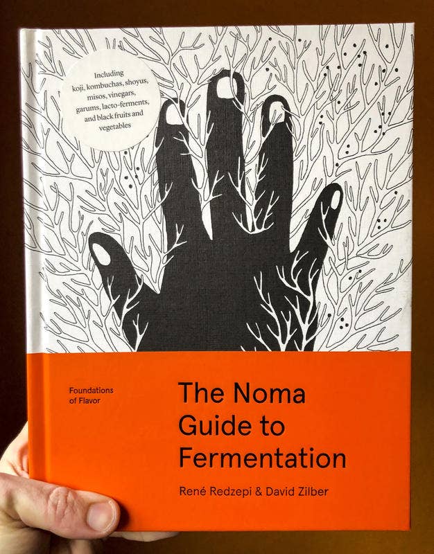 Noma Guide to Fermentation: Foundations of Flavor