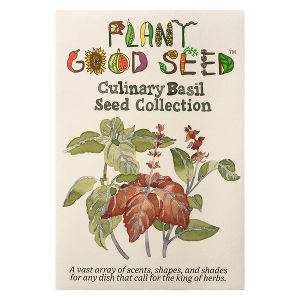 Culinary Basil Seed Collection - Plant Good Seed