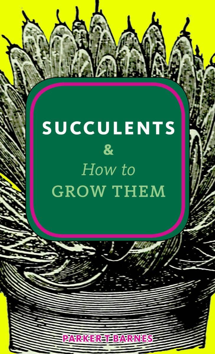 Succulents &amp; How to Grow Them (Zine)