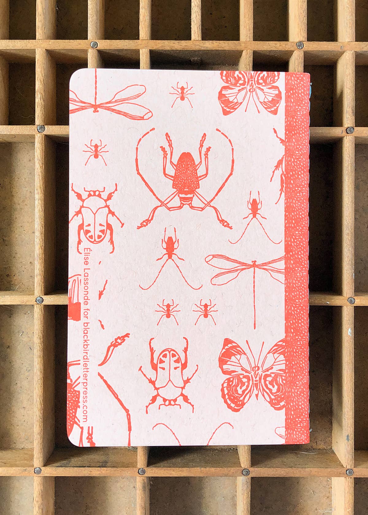 Insects notebook