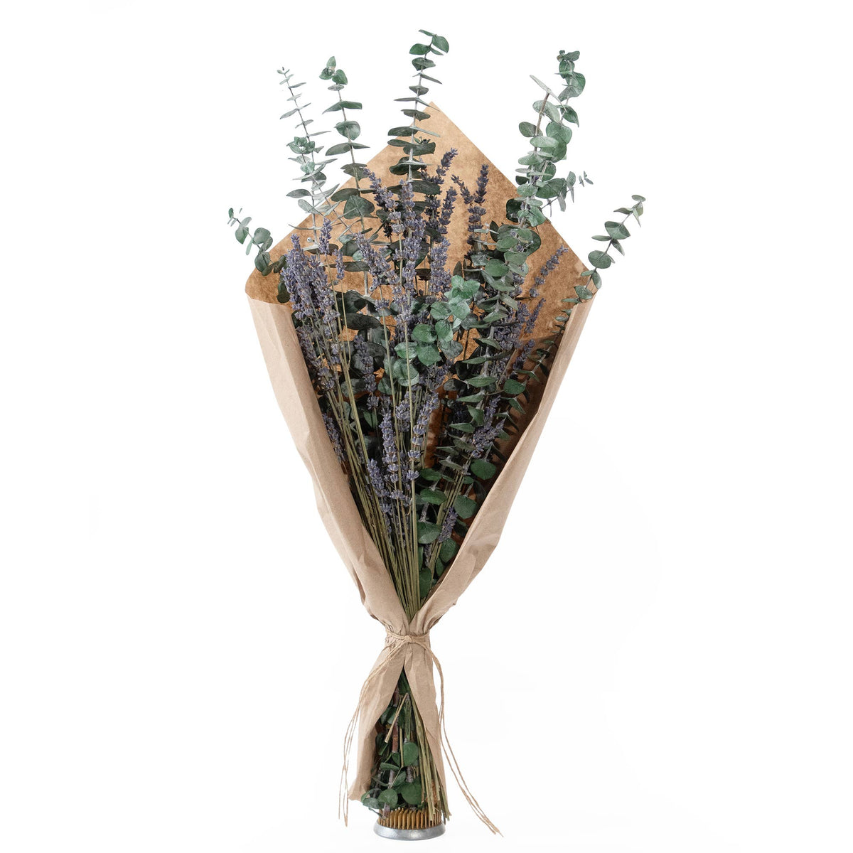 Preserved Eucalyptus &amp; Lavender Bundle