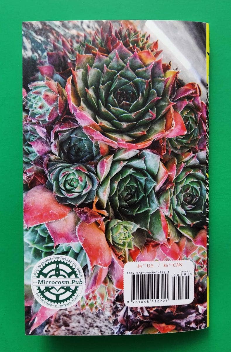 Succulents &amp; How to Grow Them (Zine)