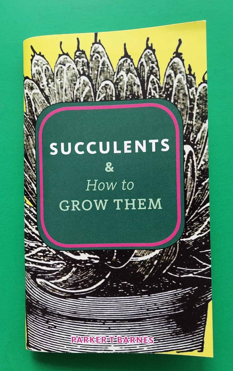 Succulents &amp; How to Grow Them (Zine)