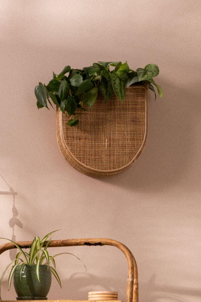 Huxley Hanging Planter