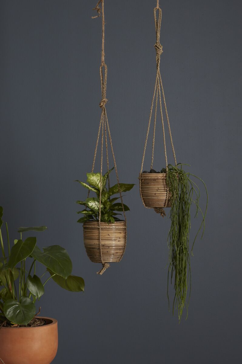 Lomita Hanging Pot