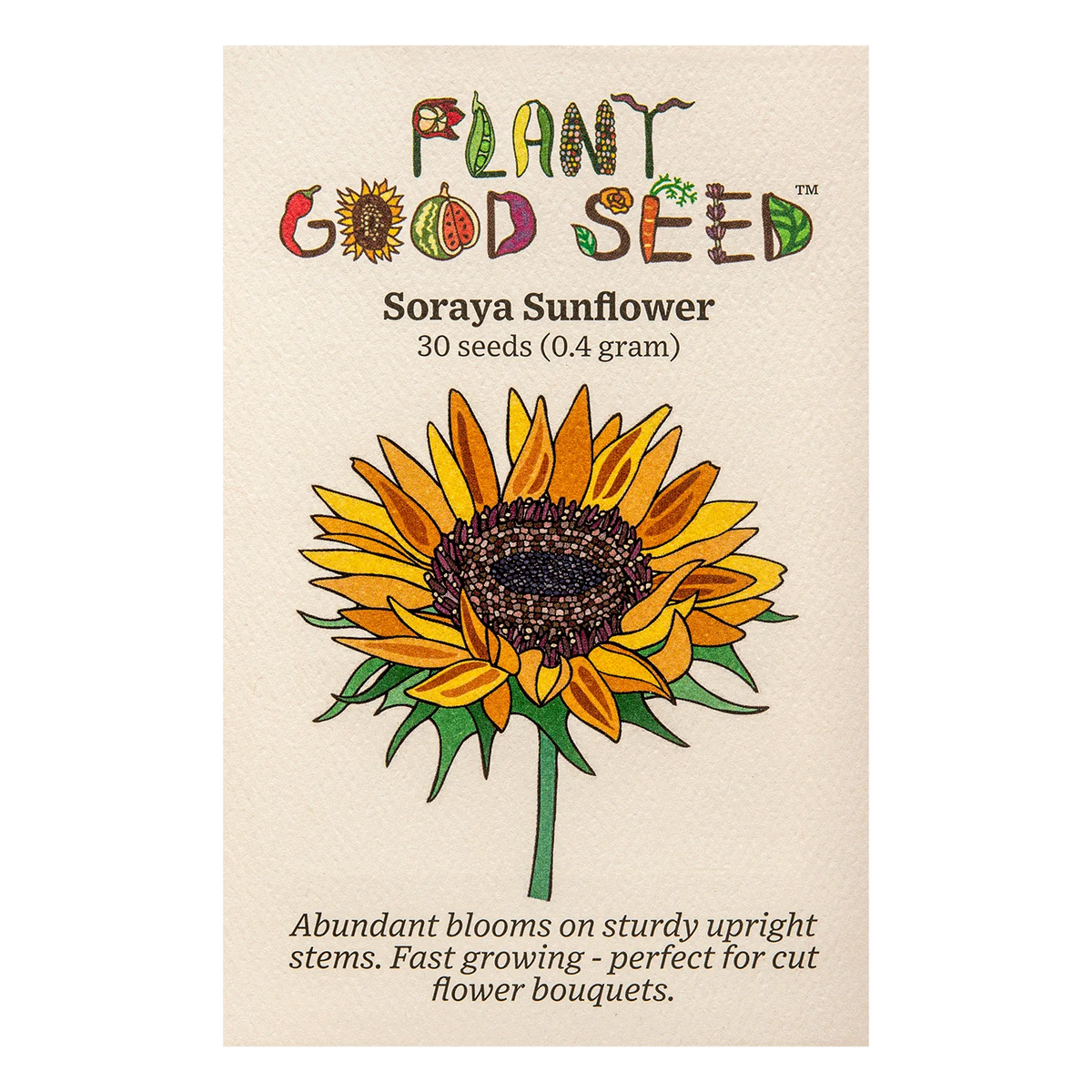 Soraya Sunflower - Plant Good Seed